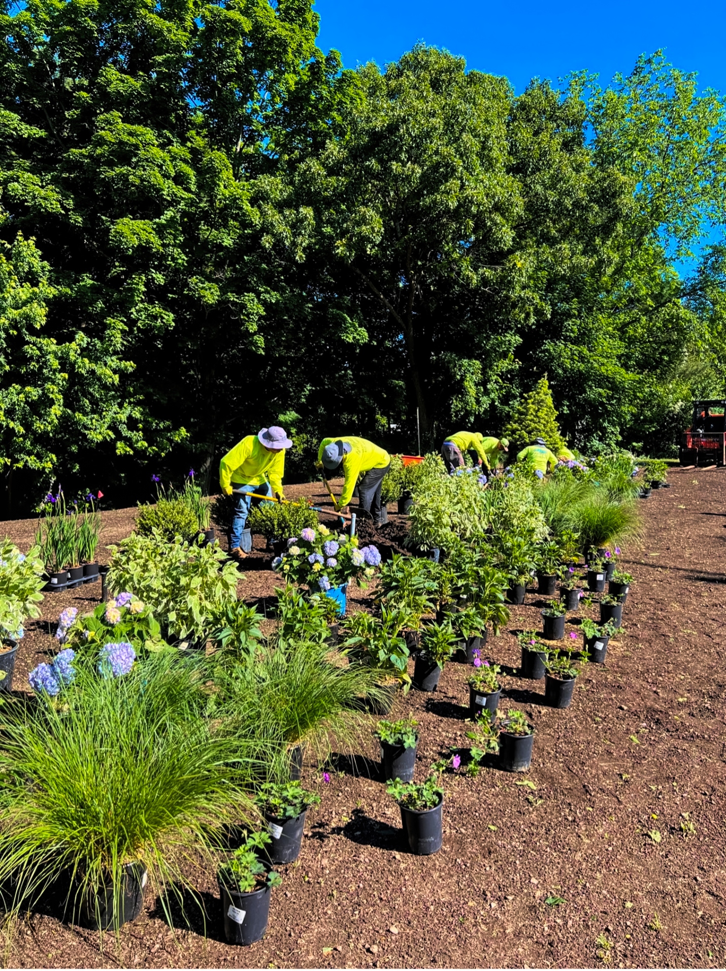 Landscape Maintenance - Waverly Landscape Services - Belmont, MA