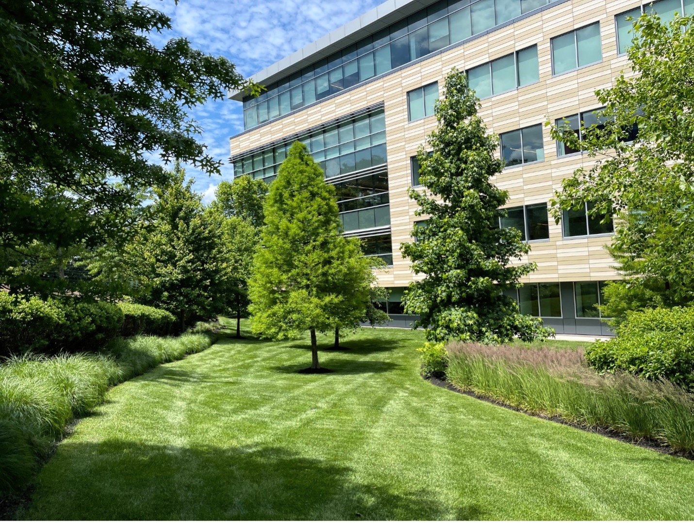 Snow and Ice Management - Waverly Landscape Services - Belmont, MA