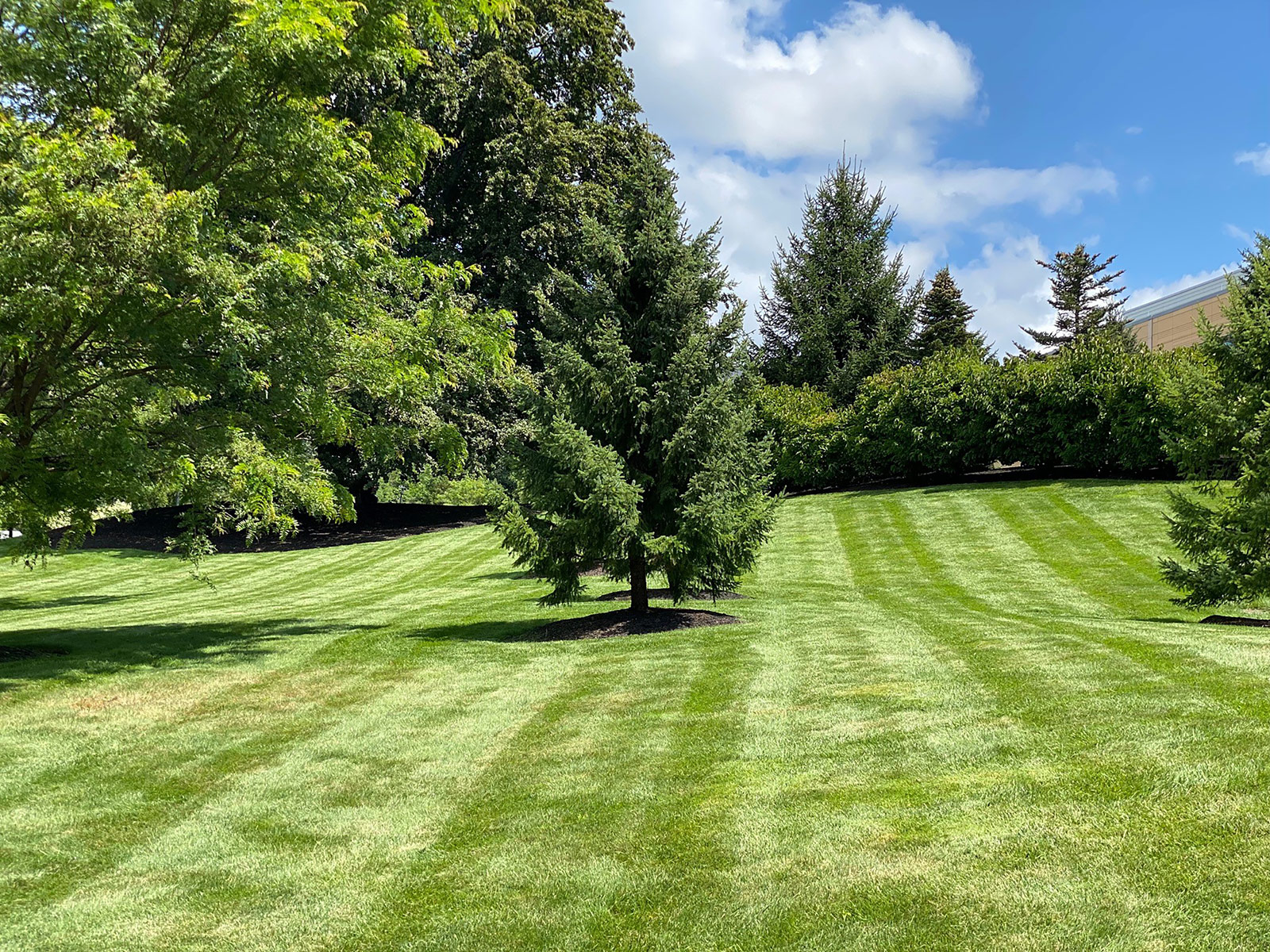 Landcape Management, Snow & Ice Removal - Waverly Development