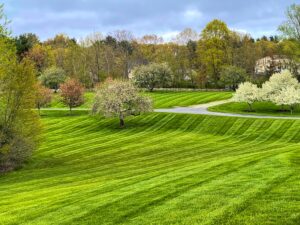 Landscape Maintenance - Waverly Landscape Services