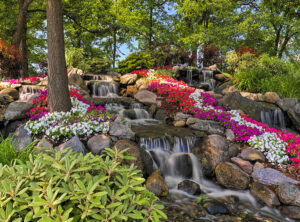 Landscape Maintenance - Waverly Landscape Services - Belmont, MA