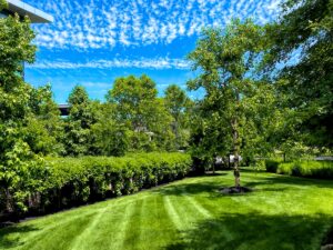 Landscape Maintenance - Waverly Landscape Services - Belmont, MA