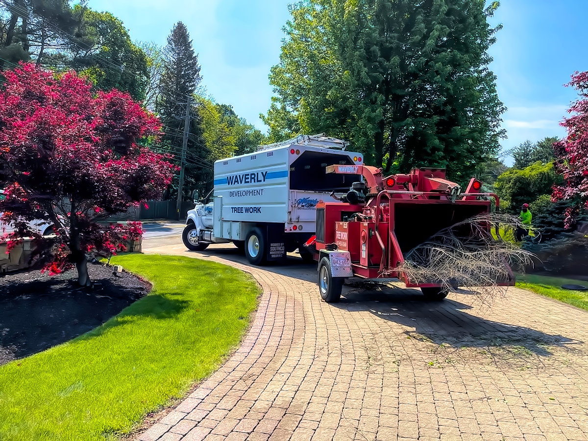 Landscape Maintenance - Waverly Landscape Services - Belmont, MA